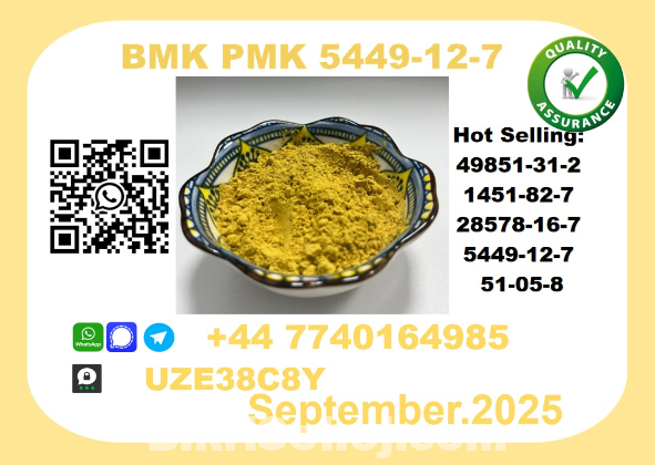 BMK PMK factory CAS 5449-12-7 worldwide safe&fast delivery